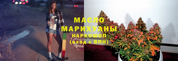 сатива Болхов