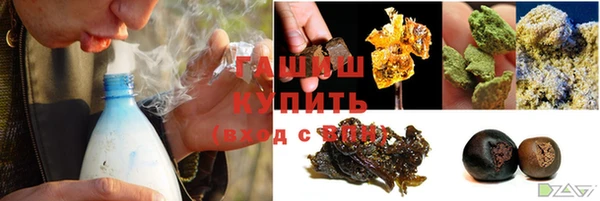 мдпв Осташков