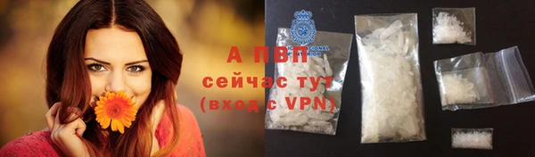 стафф Болотное
