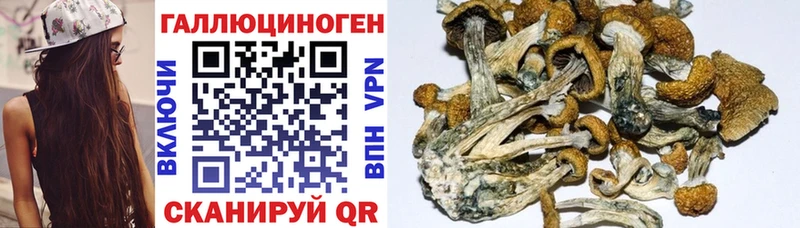 Галлюциногенные грибы ЛСД  хочу наркоту  omg вход  Светлоград 