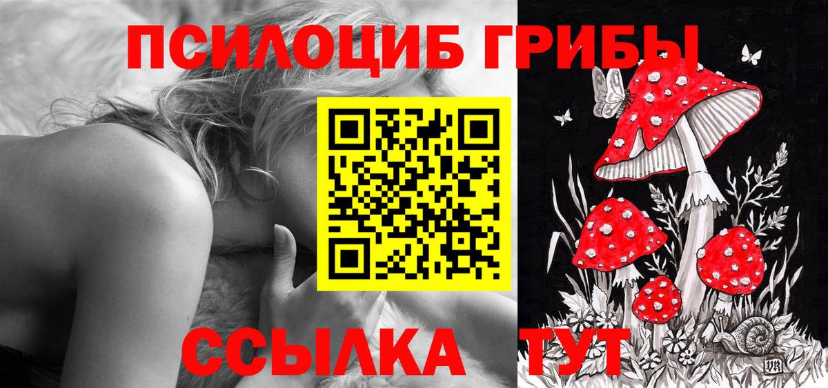 Галлюциногенные грибы ЛСД Светлоград