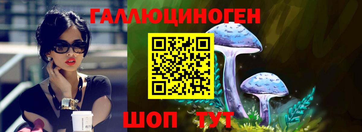 где найти наркотики  Галлюциногенные грибы MAGIC MUSHROOMS  Псилоцибиновые грибы ЛСД  Вход с VPN  Светлоград 