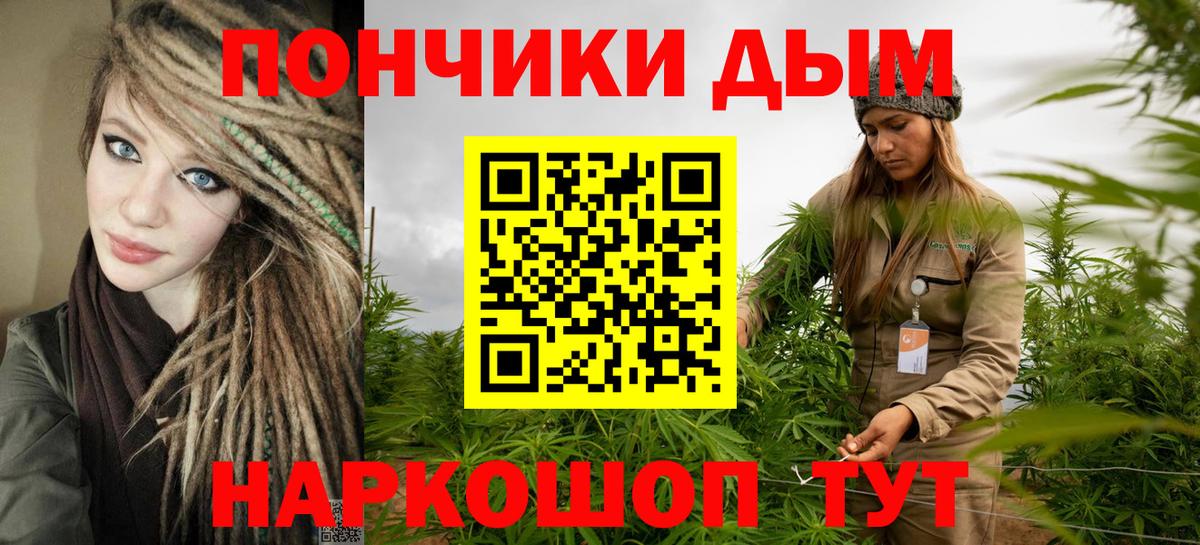 Конопля OG Kush Светлоград